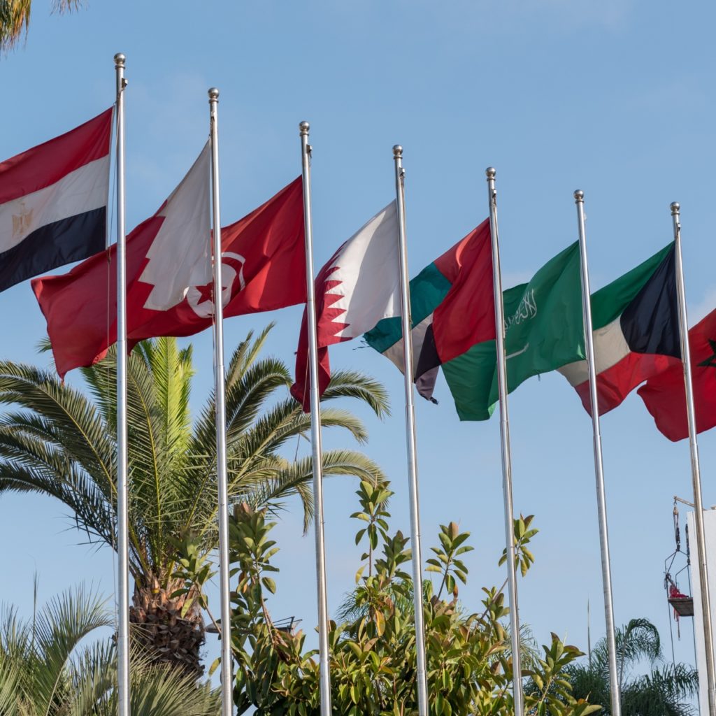 Flags of MENA counries on flagpoles with palm tree in background