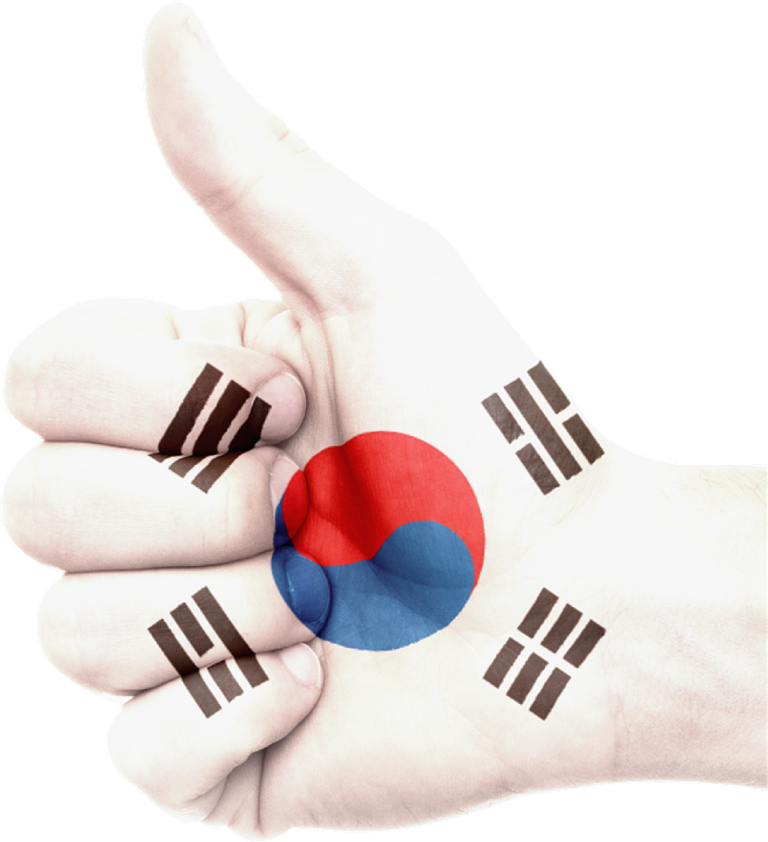 hand holding thumb up with south korean flag painted over it