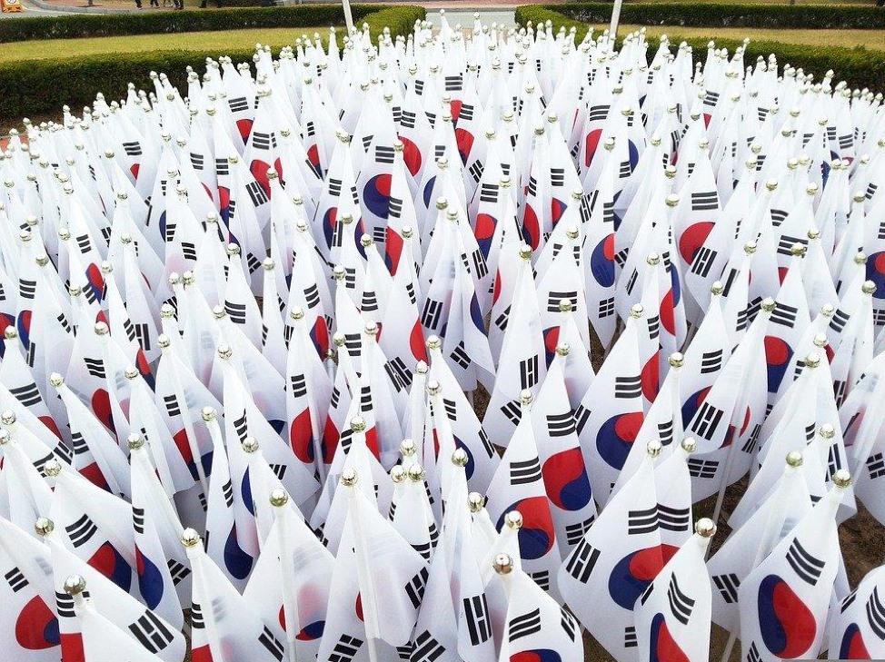 hundreds of south korean flags on green lawn