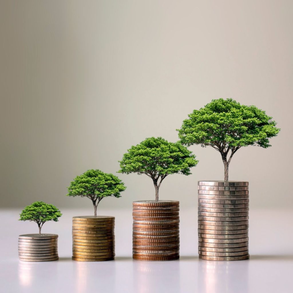 growing trees on coins symbolizing improvement