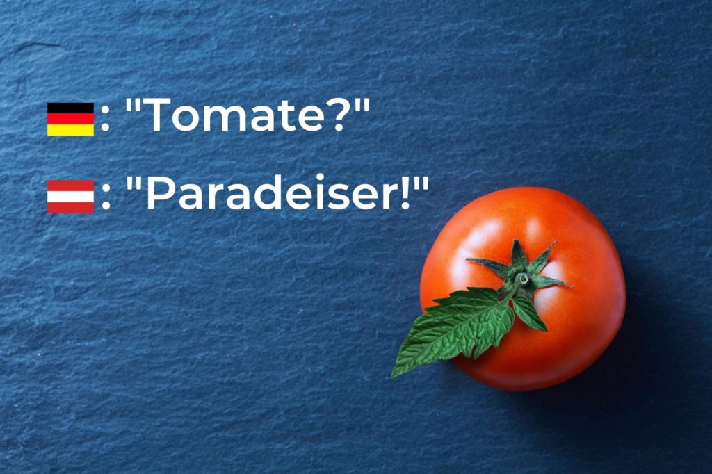 tomato on blue background with german word tomate and austrian german word paradeiser